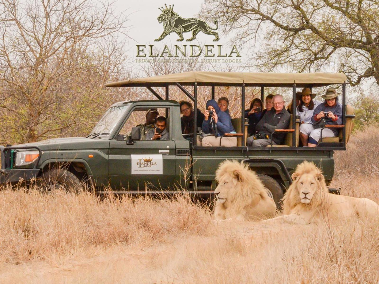 Elandela Private Game Reserve And Luxury Lodges Pty Ltd Hoedspruit Eksteriør billede